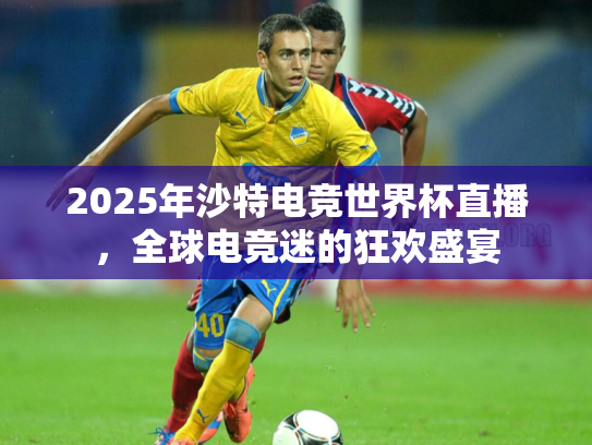 2025年沙特电竞世界杯直播，全球电竞迷的狂欢盛宴