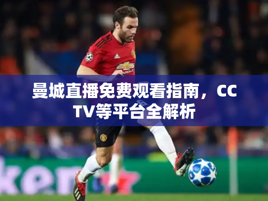 曼城直播免费观看指南，CCTV等平台全解析