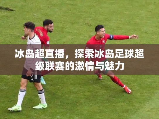 冰岛超直播，探索冰岛足球超级联赛的激情与魅力