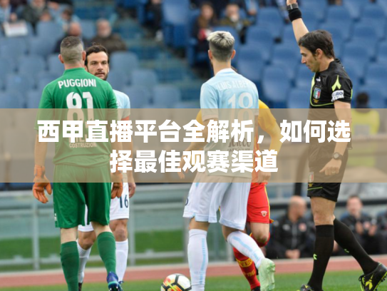 西甲直播平台全解析，如何选择最佳观赛渠道