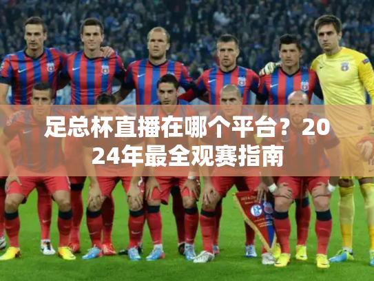 足总杯直播在哪个平台？2024年最全观赛指南