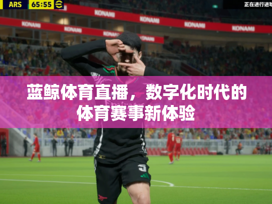 蓝鲸体育直播，数字化时代的体育赛事新体验