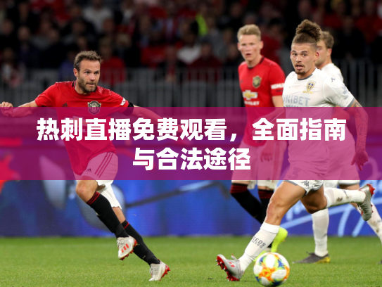 热刺直播免费观看，全面指南与合法途径