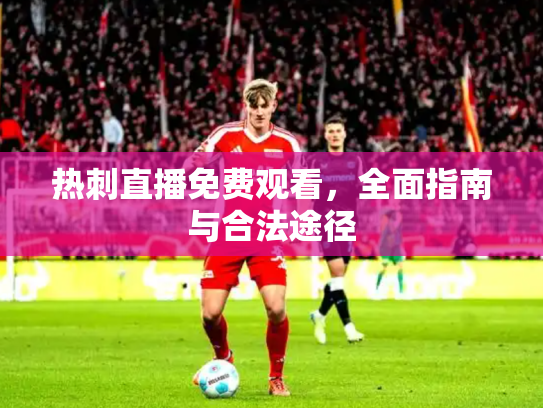 热刺直播免费观看，全面指南与合法途径