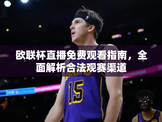 欧联杯直播免费观看指南，全面解析合法观赛渠道