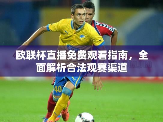 欧联杯直播免费观看指南，全面解析合法观赛渠道