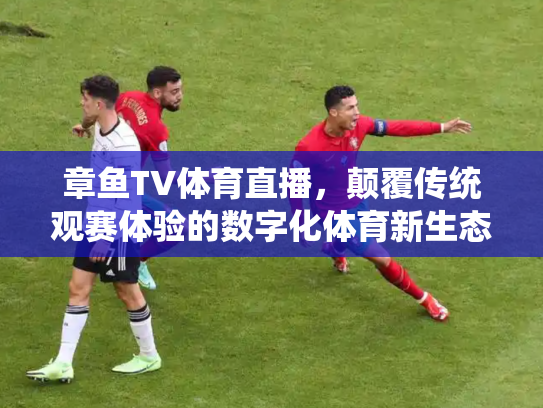 章鱼TV体育直播，颠覆传统观赛体验的数字化体育新生态
