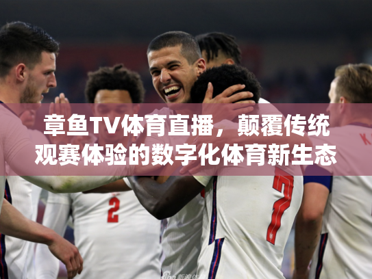 章鱼TV体育直播，颠覆传统观赛体验的数字化体育新生态