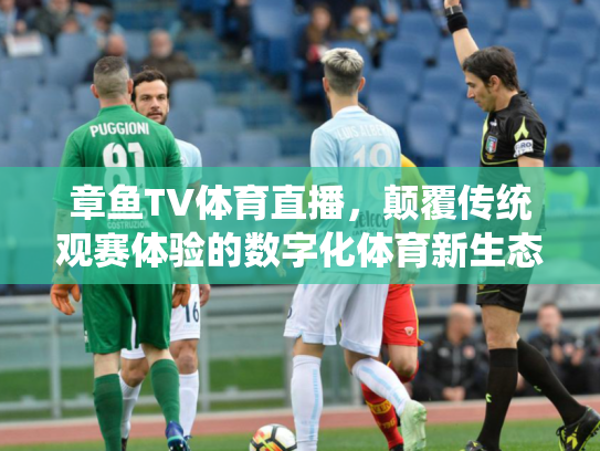 章鱼TV体育直播，颠覆传统观赛体验的数字化体育新生态