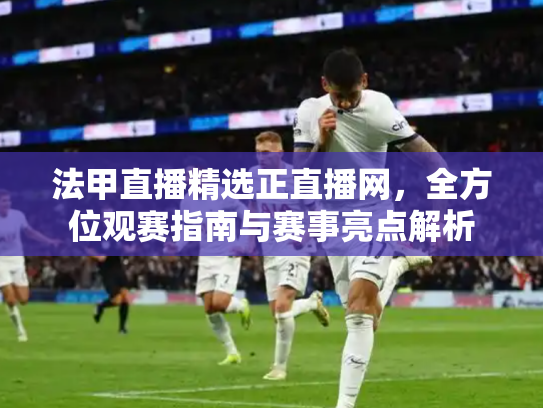 法甲直播精选正直播网，全方位观赛指南与赛事亮点解析