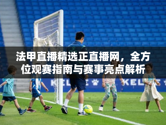 法甲直播精选正直播网，全方位观赛指南与赛事亮点解析