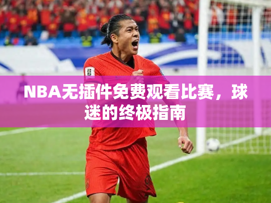 NBA无插件免费观看比赛，球迷的终极指南