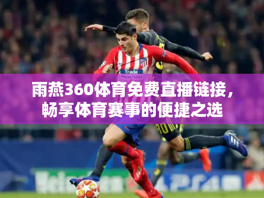 雨燕360体育免费直播链接，畅享体育赛事的便捷之选
