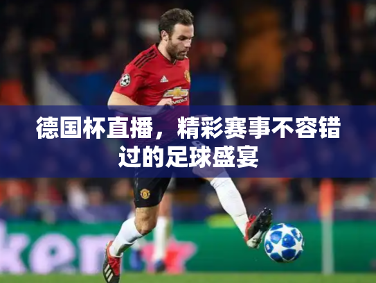 德国杯直播，精彩赛事不容错过的足球盛宴