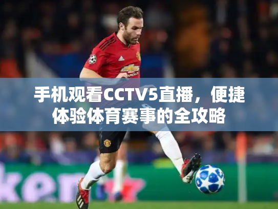 手机观看CCTV5直播，便捷体验体育赛事的全攻略