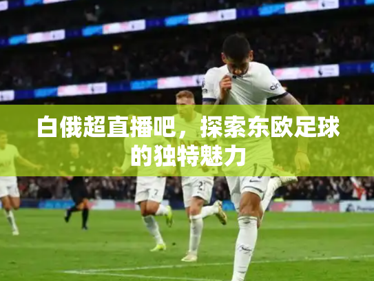 白俄超直播吧，探索东欧足球的独特魅力
