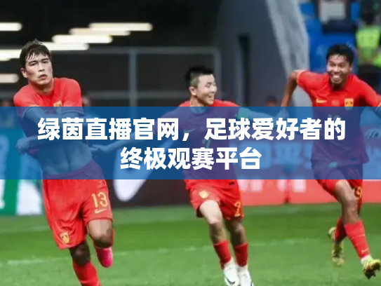 绿茵直播官网，足球爱好者的终极观赛平台