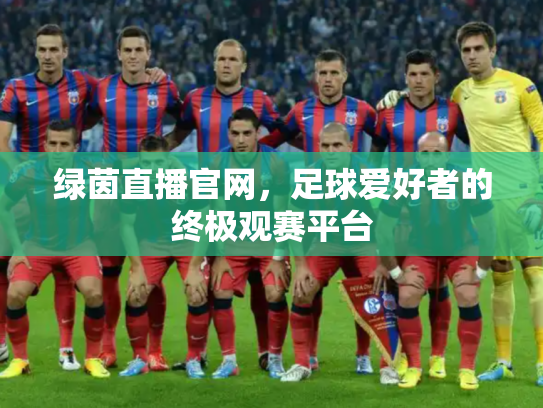 绿茵直播官网，足球爱好者的终极观赛平台