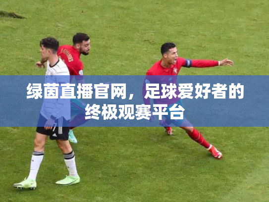 绿茵直播官网，足球爱好者的终极观赛平台