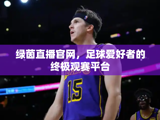 绿茵直播官网，足球爱好者的终极观赛平台
