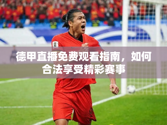 德甲直播免费观看指南，如何合法享受精彩赛事
