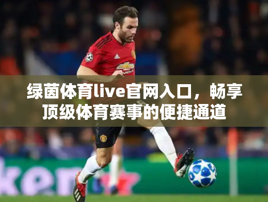 绿茵体育live官网入口，畅享顶级体育赛事的便捷通道