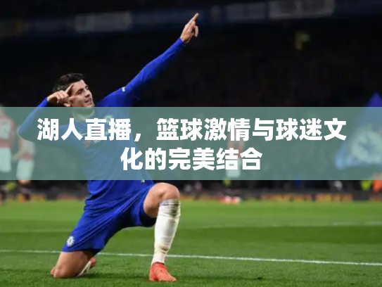 湖人直播，篮球激情与球迷文化的完美结合