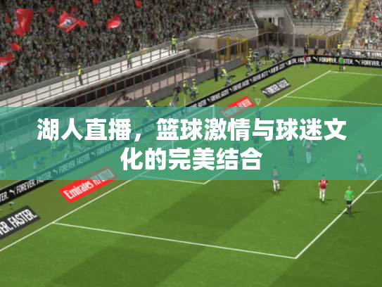 湖人直播，篮球激情与球迷文化的完美结合