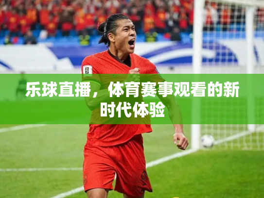 乐球直播，体育赛事观看的新时代体验