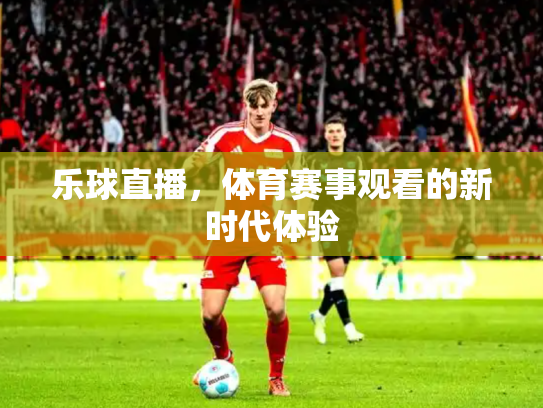 乐球直播，体育赛事观看的新时代体验