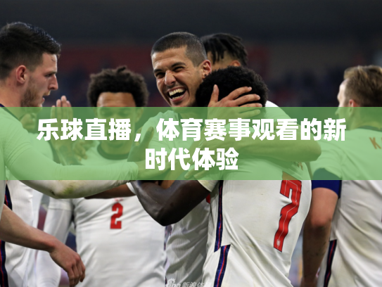 乐球直播，体育赛事观看的新时代体验
