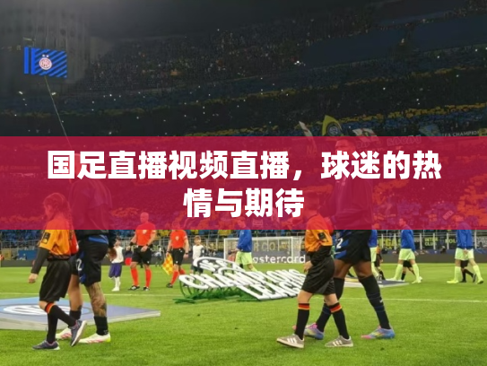 国足直播视频直播，球迷的热情与期待