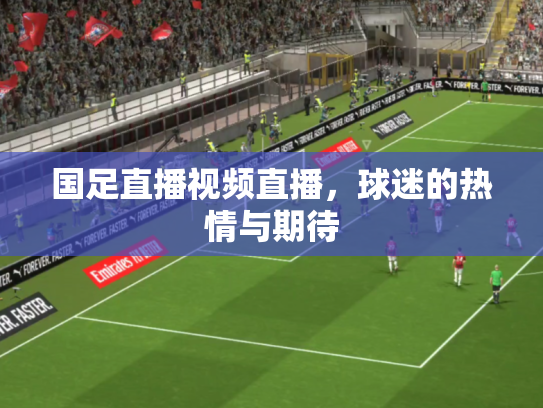 国足直播视频直播，球迷的热情与期待