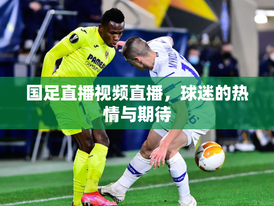 国足直播视频直播，球迷的热情与期待