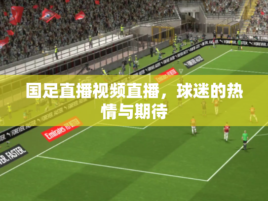 国足直播视频直播，球迷的热情与期待