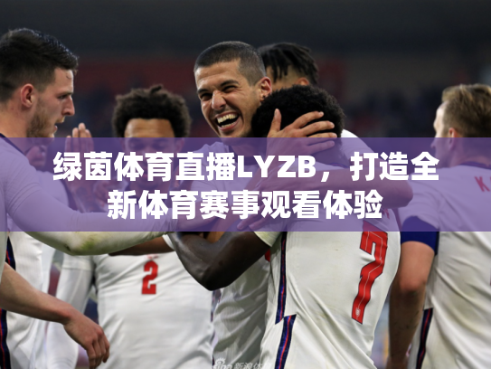 绿茵体育直播LYZB，打造全新体育赛事观看体验