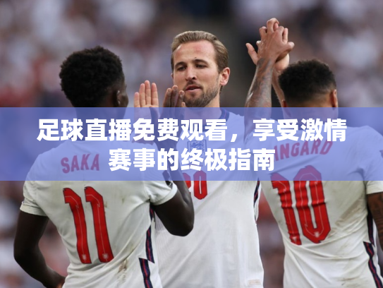 足球直播免费观看，享受激情赛事的终极指南