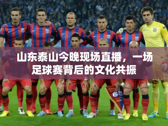 山东泰山今晚现场直播，一场足球赛背后的文化共振