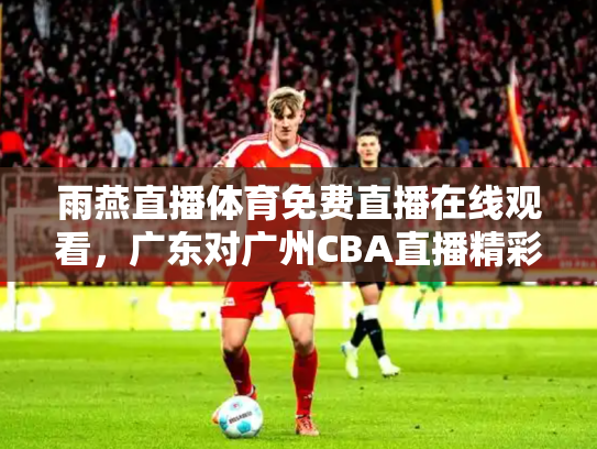 雨燕直播体育免费直播在线观看，广东对广州CBA直播精彩对决