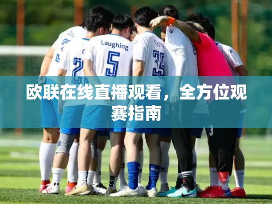 欧联在线直播观看，全方位观赛指南