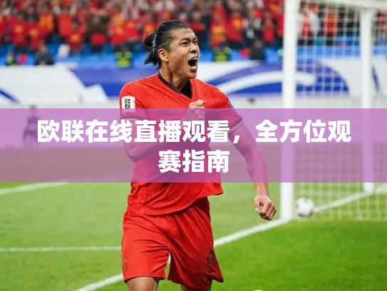 欧联在线直播观看，全方位观赛指南