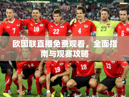 欧国联直播免费观看，全面指南与观赛攻略