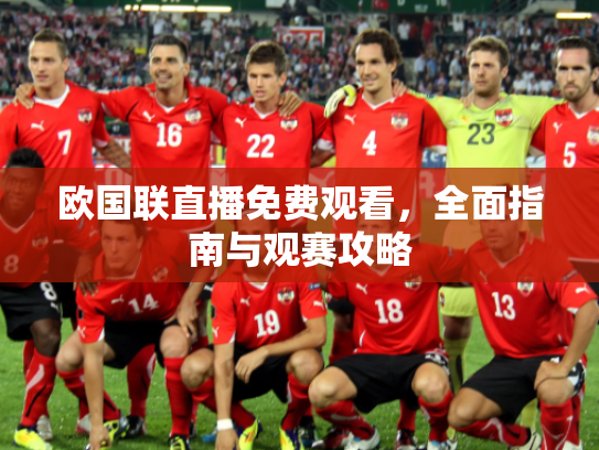 欧国联直播免费观看，全面指南与观赛攻略