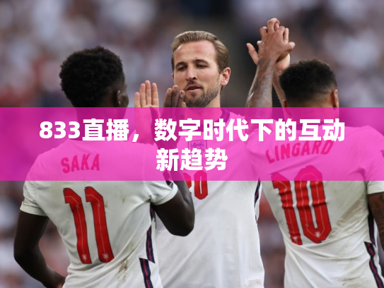 833直播，数字时代下的互动新趋势