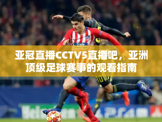 亚冠直播CCTV5直播吧，亚洲顶级足球赛事的观看指南