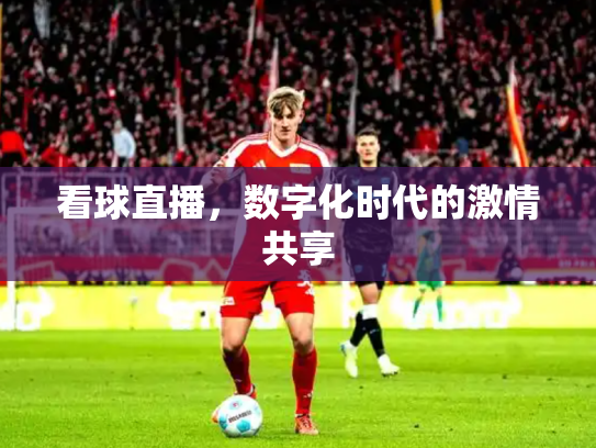 看球直播，数字化时代的激情共享