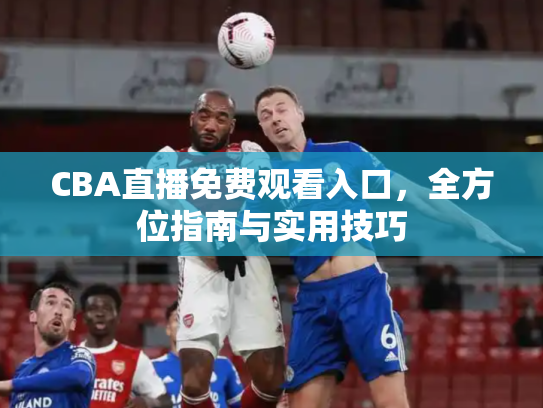 CBA直播免费观看入口，全方位指南与实用技巧