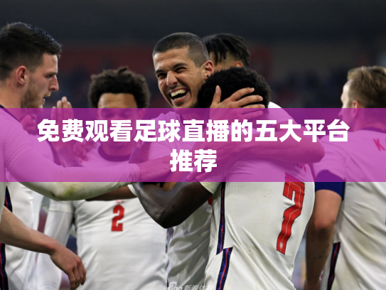 免费观看足球直播的五大平台推荐