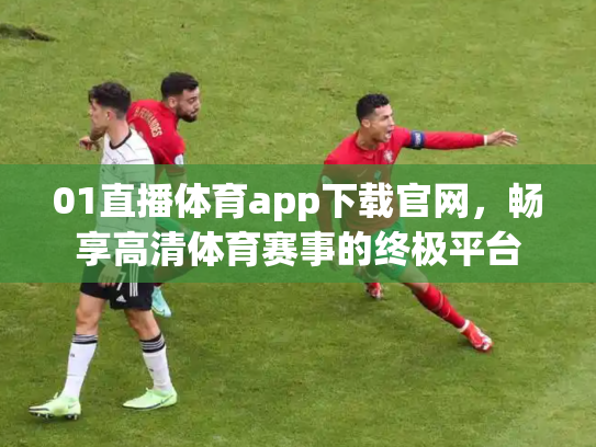 01直播体育app下载官网，畅享高清体育赛事的终极平台