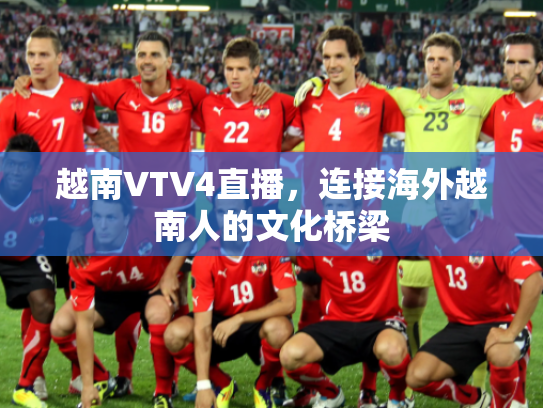 越南VTV4直播，连接海外越南人的文化桥梁